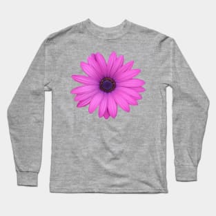 Pink Petals African Daisy Isolated Long Sleeve T-Shirt